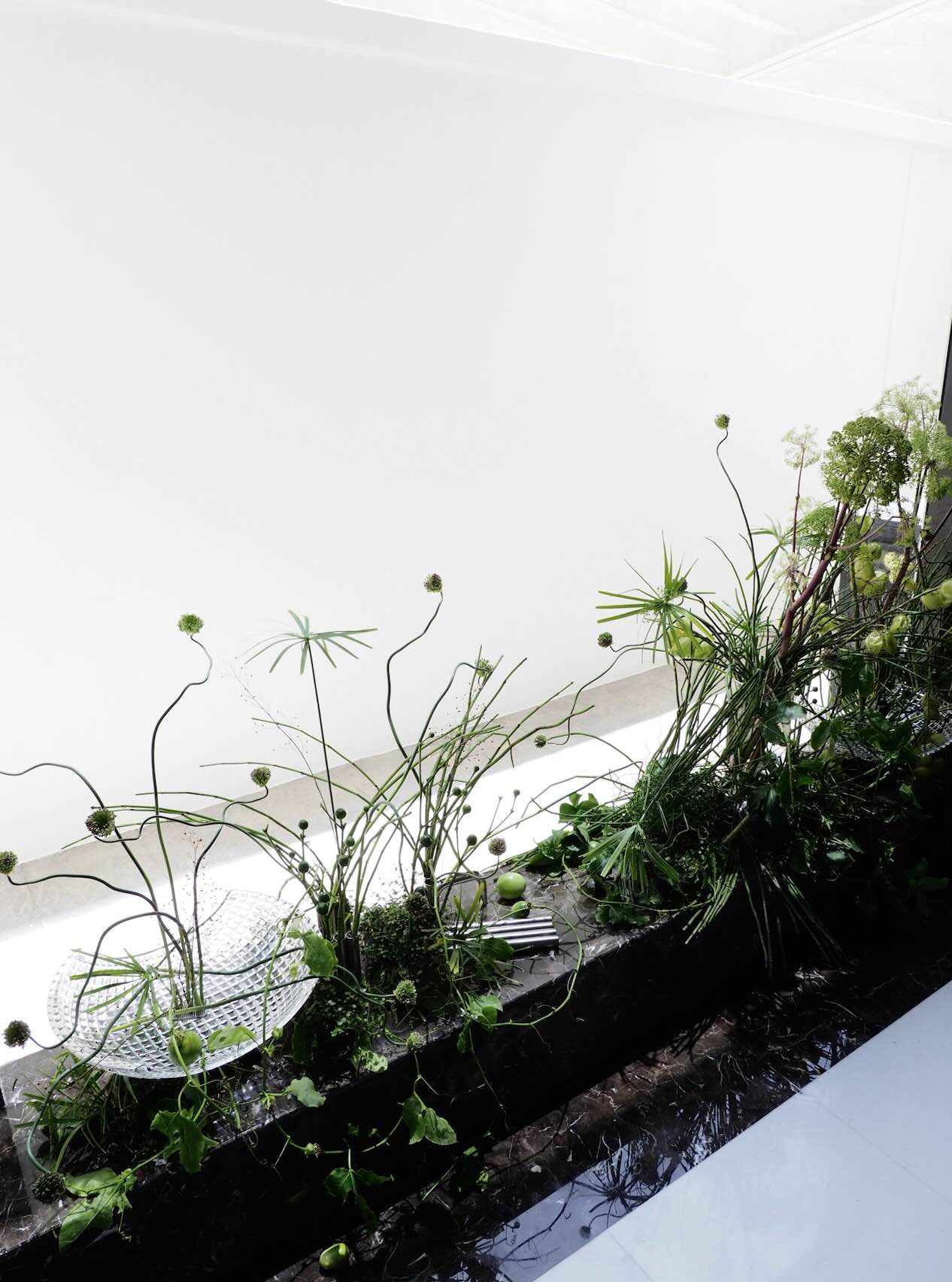 Pino Flowers promo