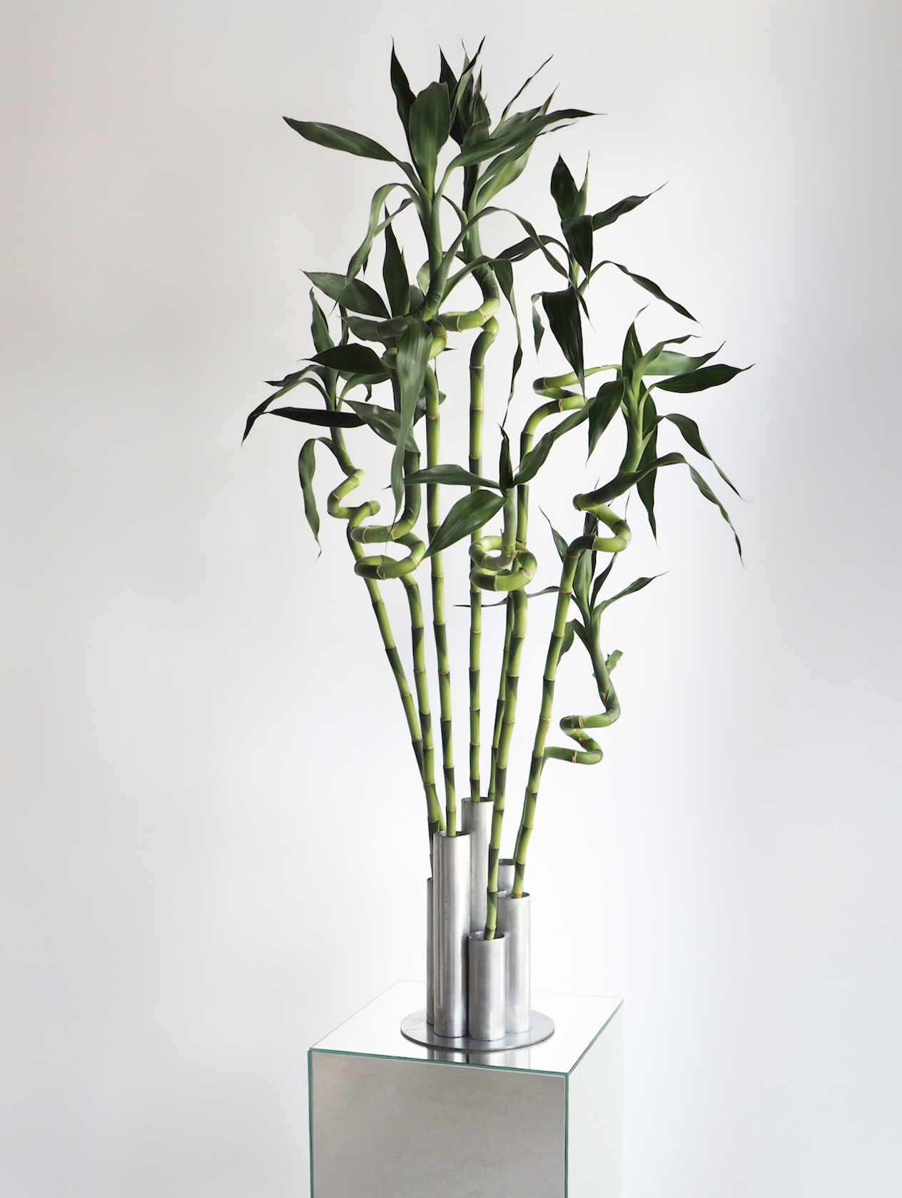 JUST BAMBOO