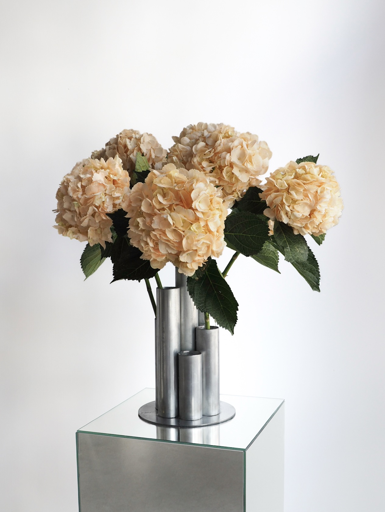 JUST HYDRANGEA