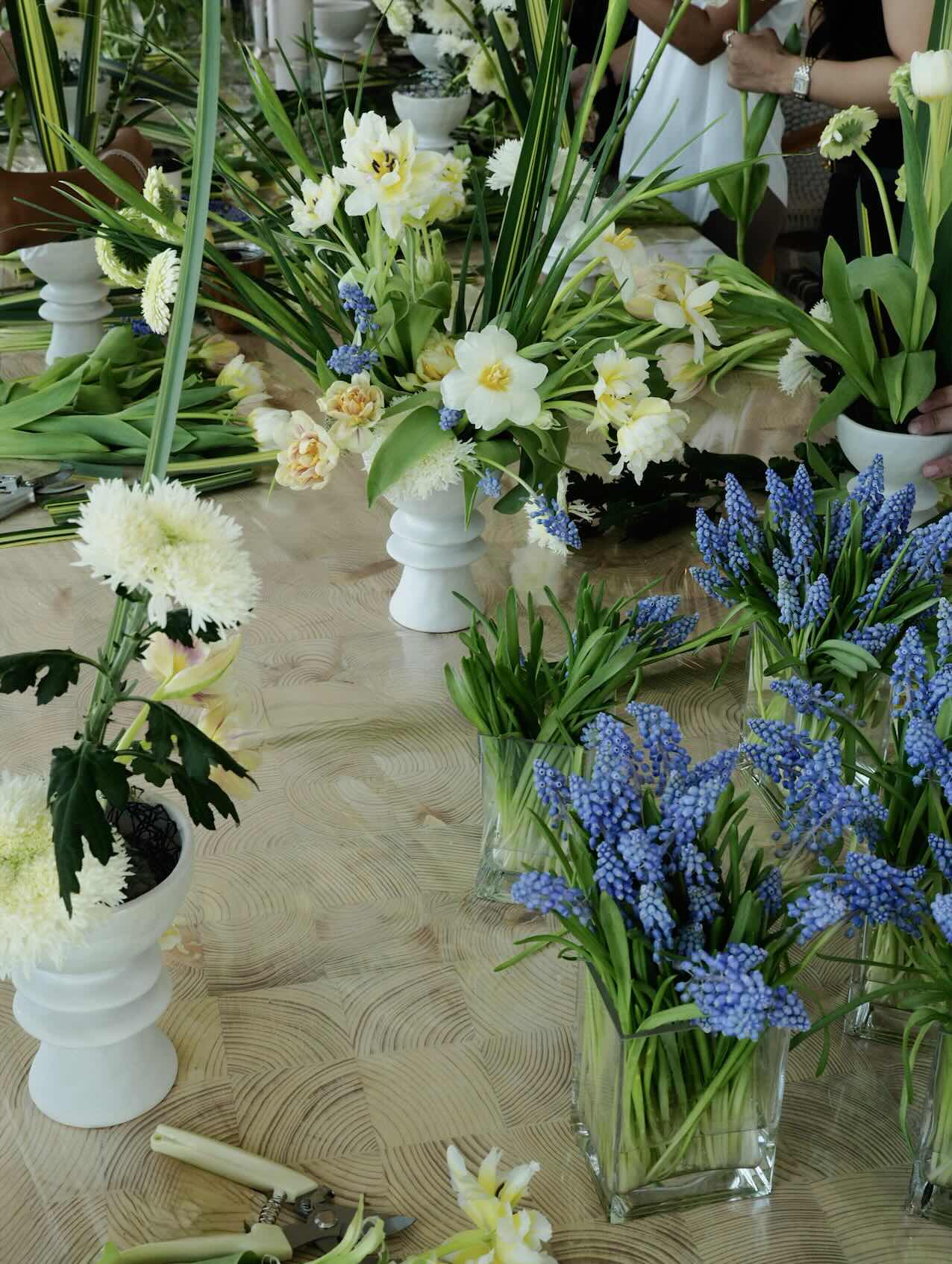Pino Flowers promo