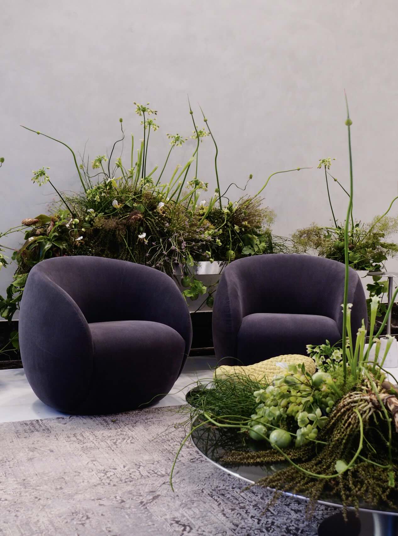 Pino Flowers promo