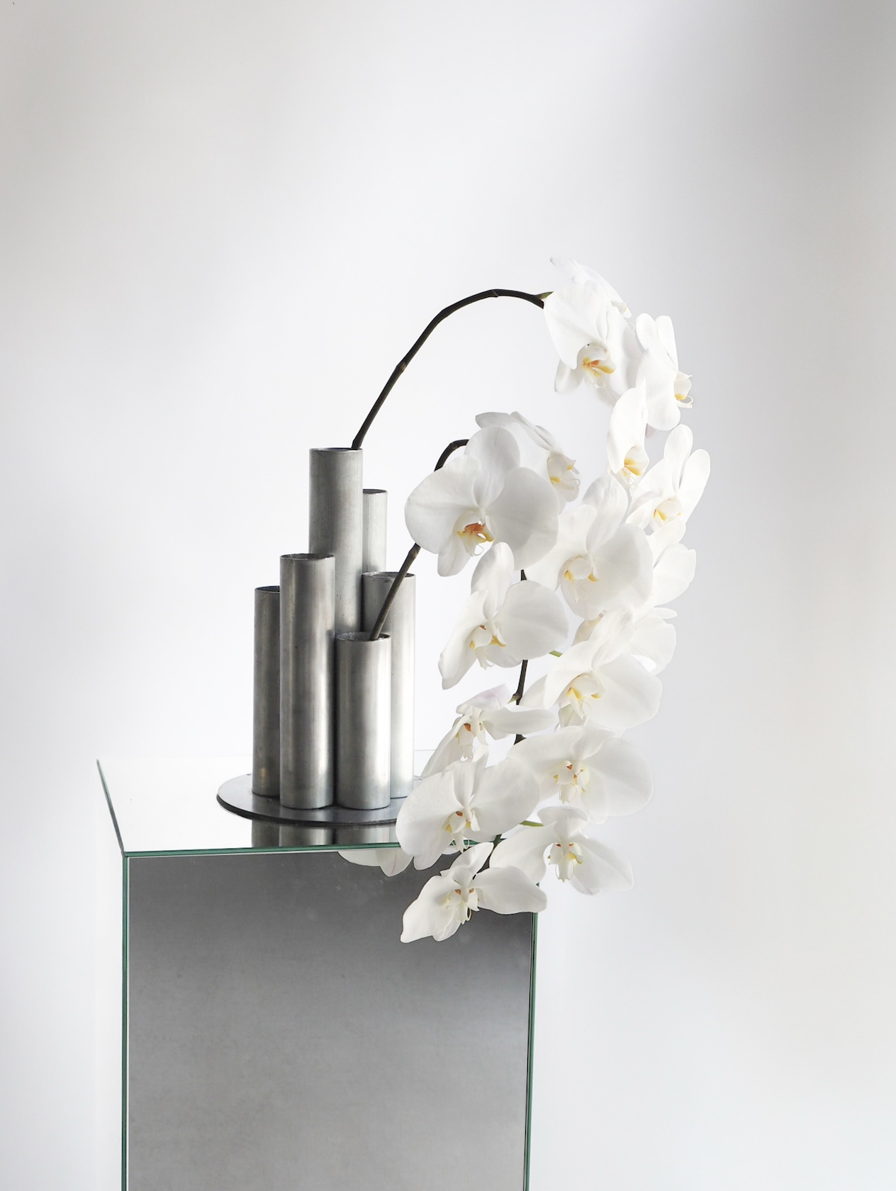 JUST ORCHID
