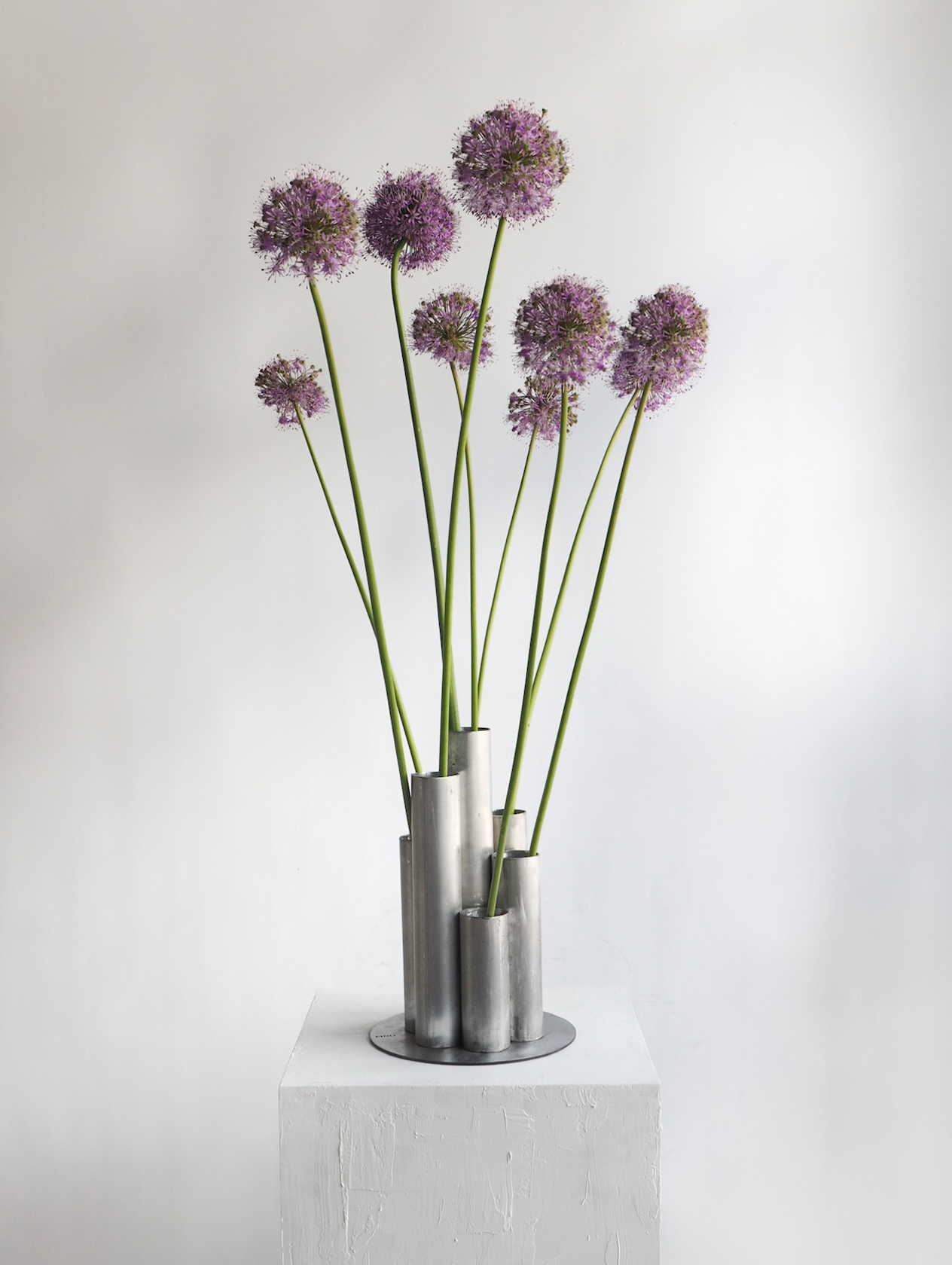 JUST ALLIUM