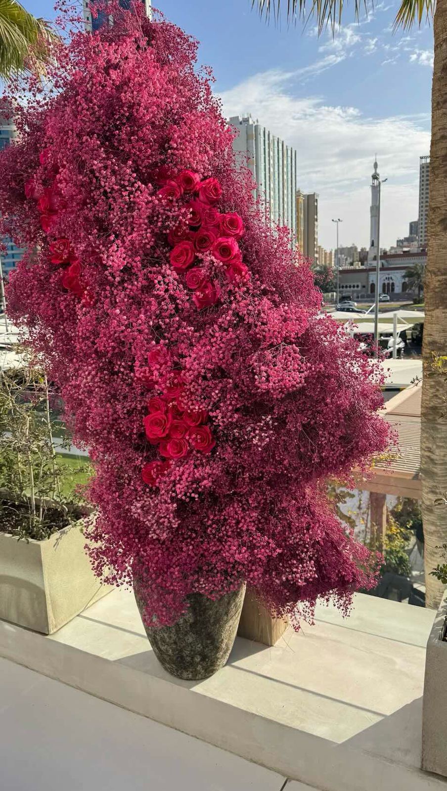Pino Flowers promo